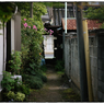 「紅い花」小江戸川越散歩604