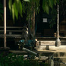 写真エッセイ：谷根千ウォーク３：谷中霊園２