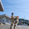 おはようのご挨拶