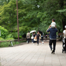 緑の公園で