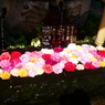 深大寺の花手水