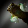 Emergence