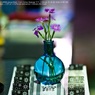 Bokeh & focus check chart☆