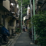 写真エッセイ：谷根千ウォーク25：路地