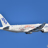 All Nippon Airways