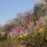 山の風景２