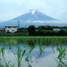 写真エッセイ：冠雪の富士 Photo Trip１：早苗植え渡す