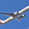 Japan Airlines