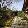 DSC02623