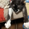 飛んでる気分(=^。^=)