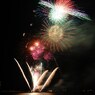 夜空に舞う花（８）