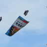 大空に舞う…大凧と六角凧