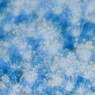 BLUE HEAVEN