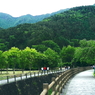 写真エッセイ：冠雪の富士 Photo Trip12：西湖いやしの里根場１