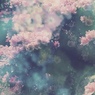 朧