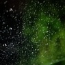 ビニル傘1