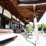 小貝川と常総の野8