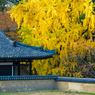 奈良公園