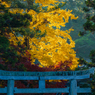 奈良公園