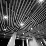 天井