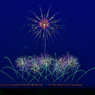 Japan Fireworks Expo《大曲の花火》⑤