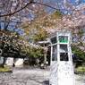 元町公園