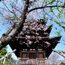 三渓園