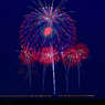 Japan Fireworks Expo《大曲の花火》⑨