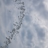 水空1