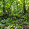 美ヶ原登山