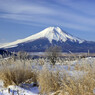 山梨県忍野村内野