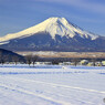 20080126_DSC7212_01