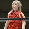 プロレスで