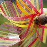 photo_1306750