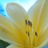 photo_1306755