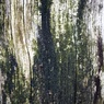 壁7