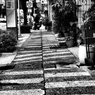 無彩 歩道