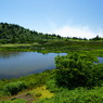 夏！湿原