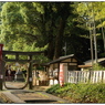 「夏の風景」小江戸川越散歩641