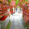 お初天神で祈る