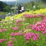 photo_1307163