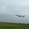 B777-200  JA008D