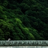 渡月橋の夏