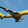 All Nippon Airways