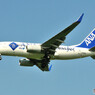 All Nippon Airways