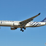 China Southern Airlines