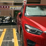 写真指編：Red and White