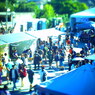 PICT0008