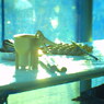 PICT0023