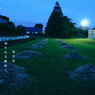 写真句：夕散歩３